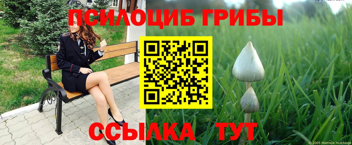 Галлюциногенные грибы ЛСД Зеленодольск