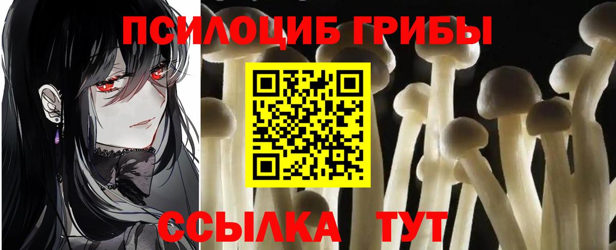 Галлюциногенные грибы мухоморы  Галлюциногенные грибы GOLDEN TEACHER  Вход с VPN  Зеленодольск 